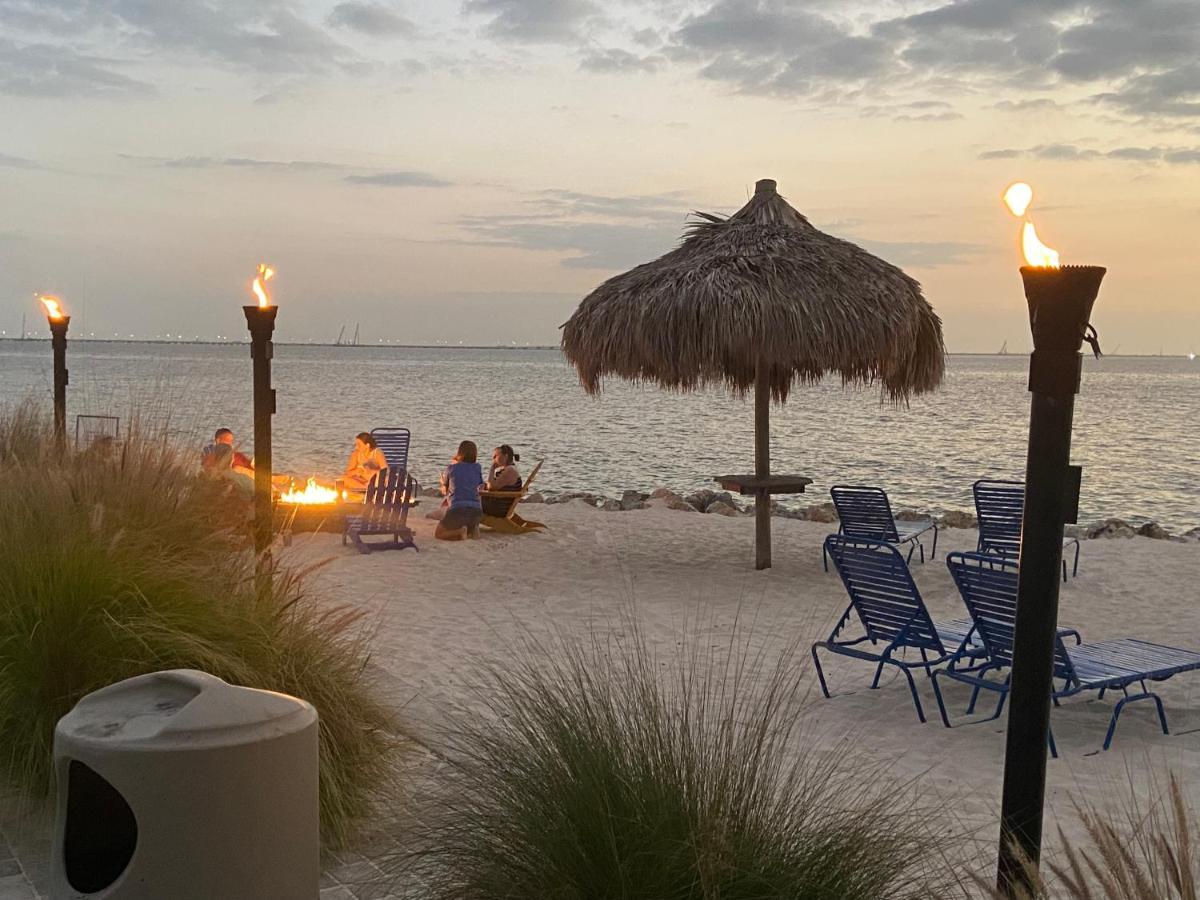 Amazing Waterfront Views Resort, Enjoy Heated Pool & Sunset! Tampa Eksteriør billede