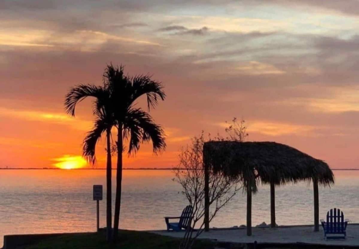 Amazing Waterfront Views Resort, Enjoy Heated Pool & Sunset! Tampa Eksteriør billede