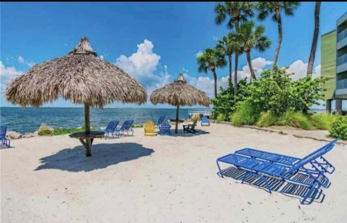 Amazing Waterfront Views Resort, Enjoy Heated Pool & Sunset! Tampa Eksteriør billede
